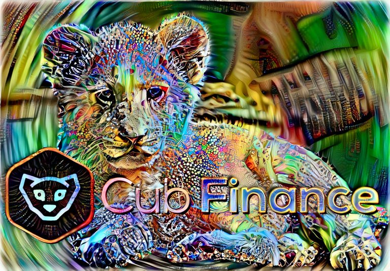 cub-finance-version-2.jpeg