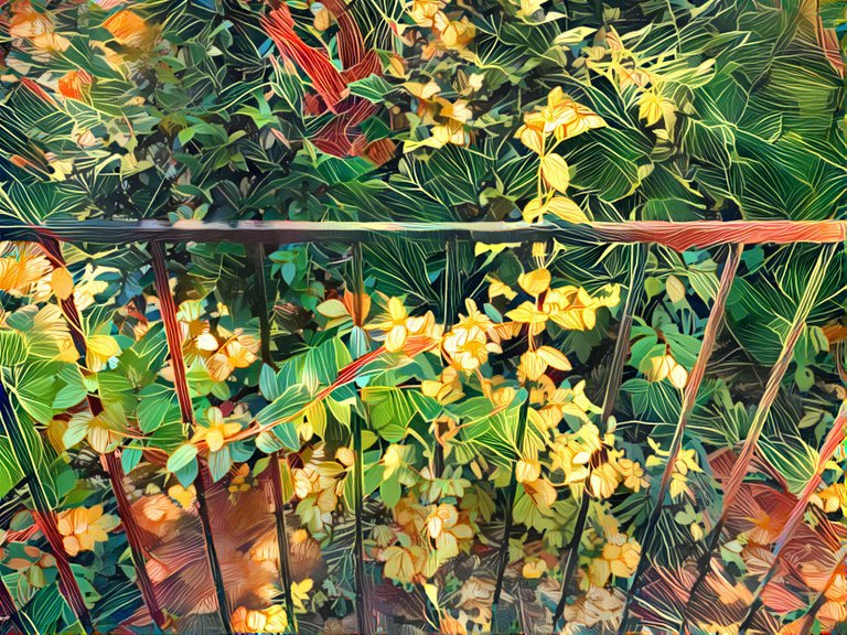 vibrant-leafy-fence.jpeg
