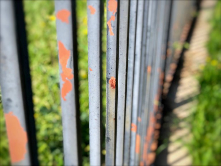 peelfenceblur.jpeg