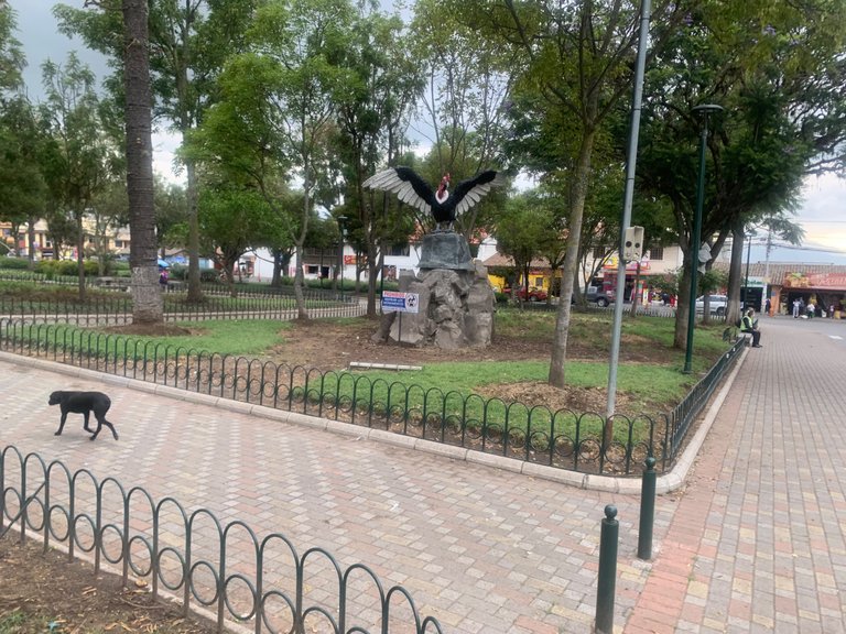 IMG_7369.jpeg
