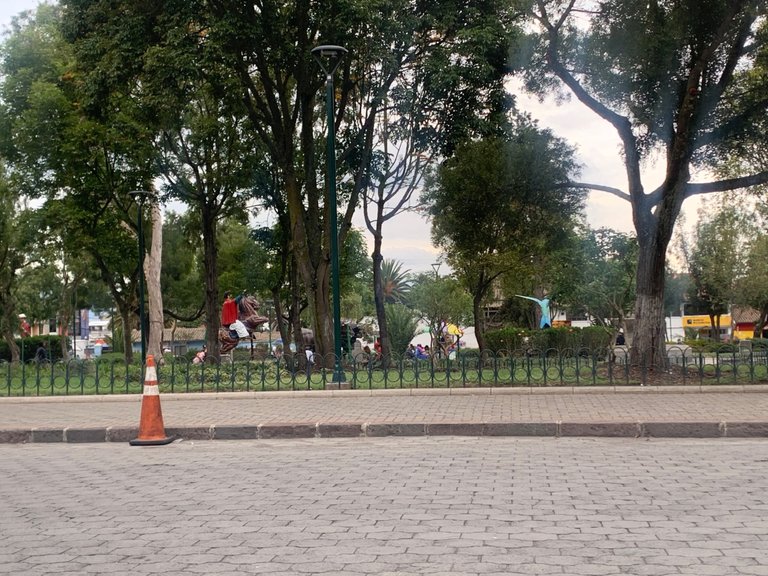 IMG_7365.jpeg