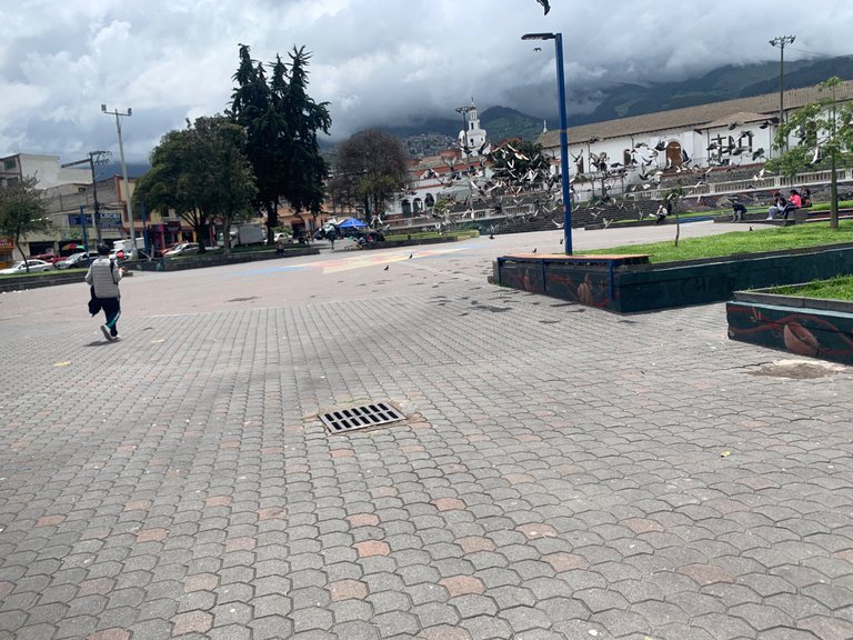IMG_7969.jpeg