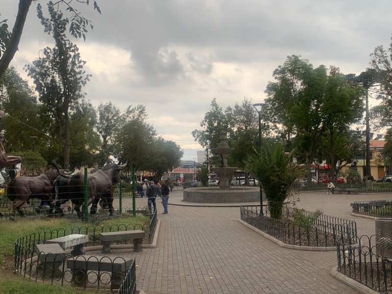 IMG_7375.jpeg