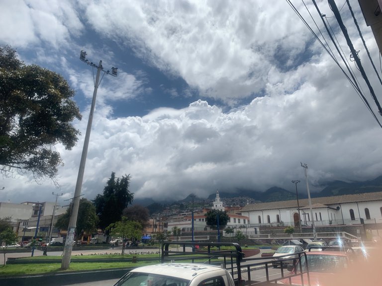 IMG_7966.jpeg