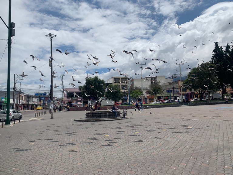 IMG_7972.jpeg