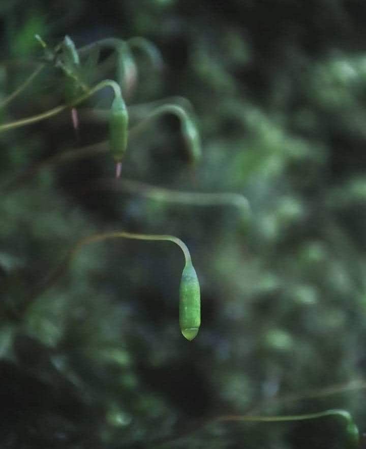 received_224581332965780.jpeg