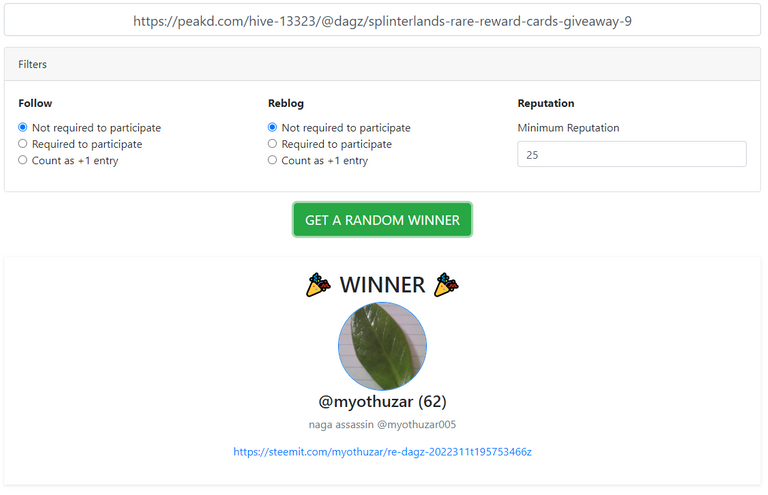 Winner 9.png