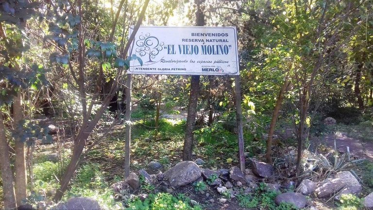 viejo molino n1.jpg