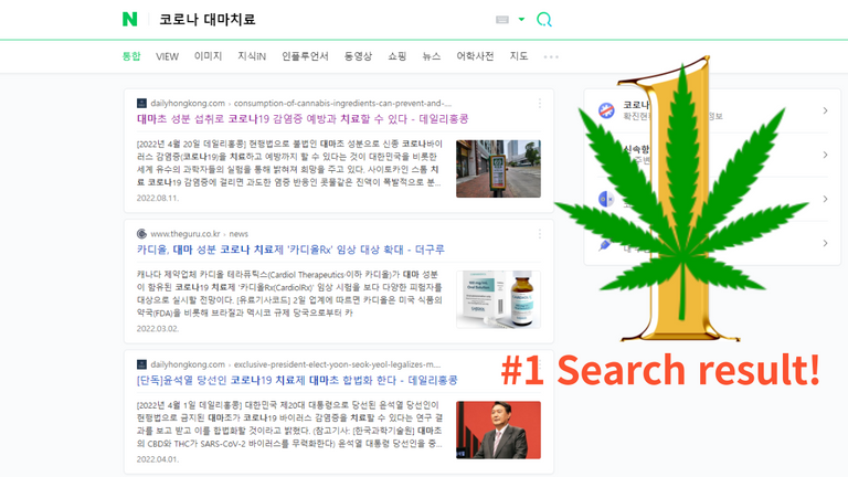 naver-search-number-one.png