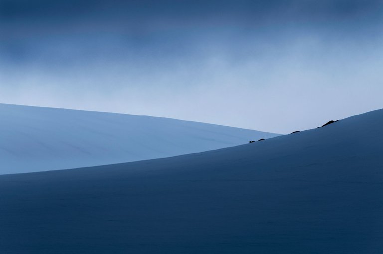 lines_export web 2022.jpg