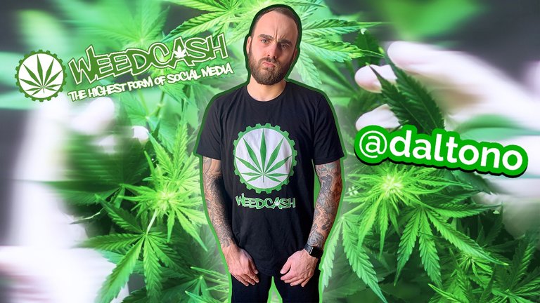 weedcashthumbnail.JPG