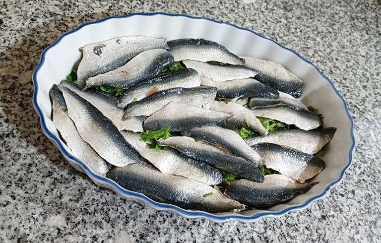 sardina 5.jpg