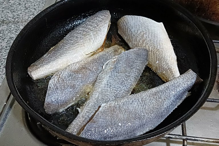 pargo 7.jpg