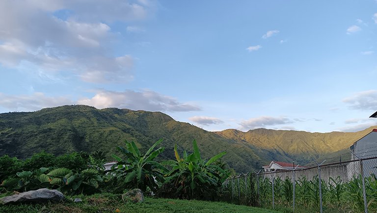 Paisaje A.jpg