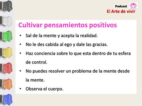 Programa 11. Pensamiento positivo Miri ESP.jpg