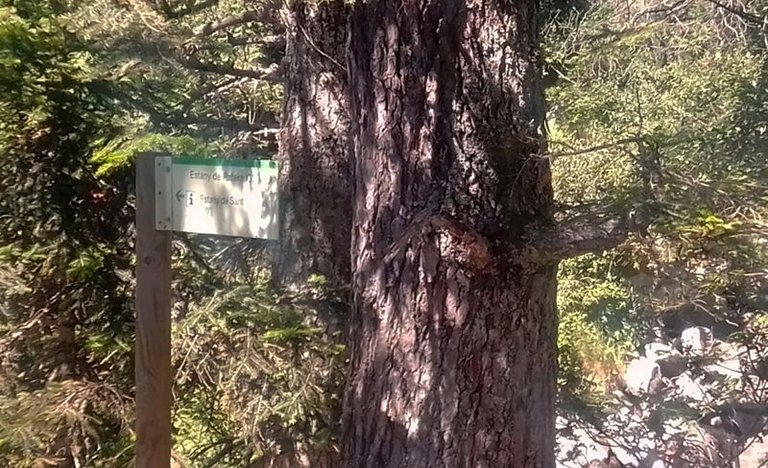 aviso 3.jpg