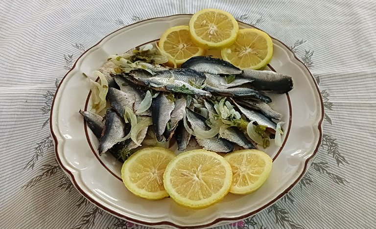 sardina 7.jpg