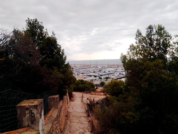 Faro 2.jpg