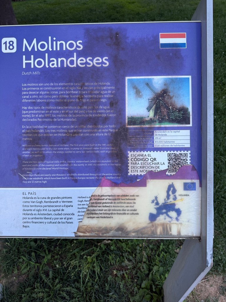 IMG_6145.jpeg