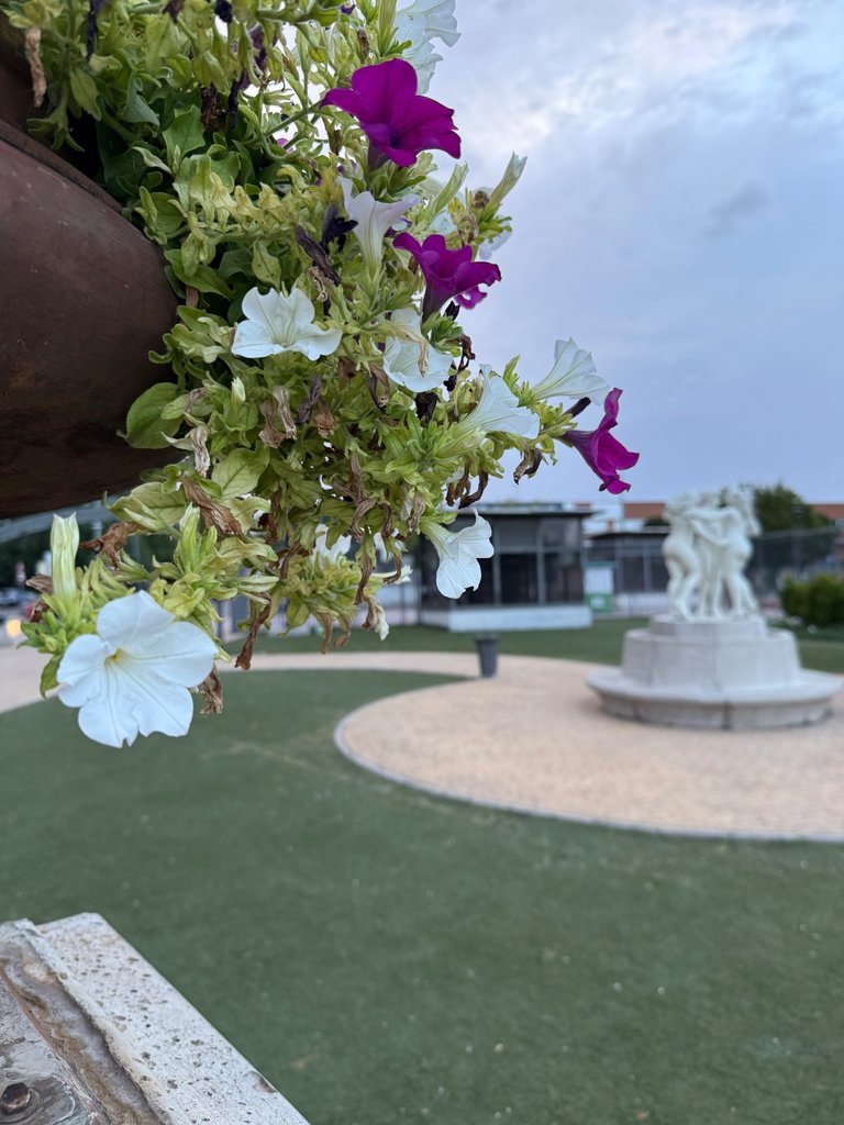 IMG_6160.jpeg