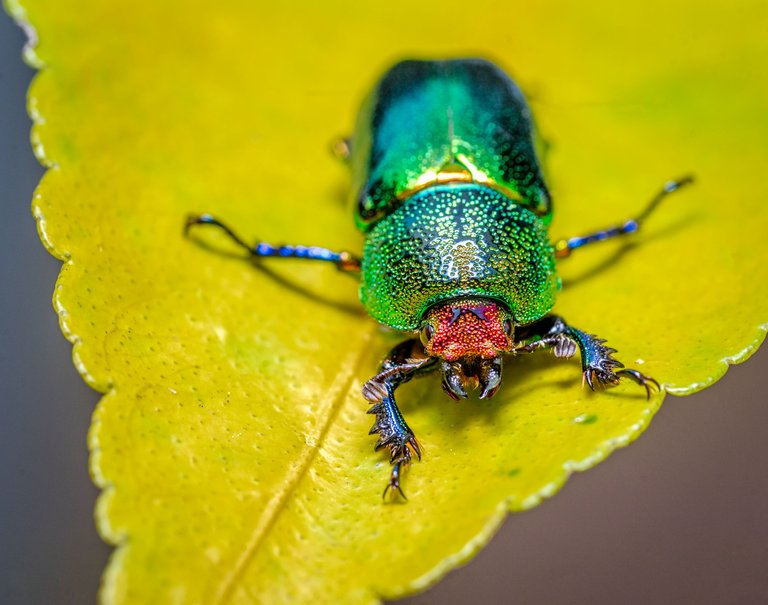 _DSC2412-Edit.jpg