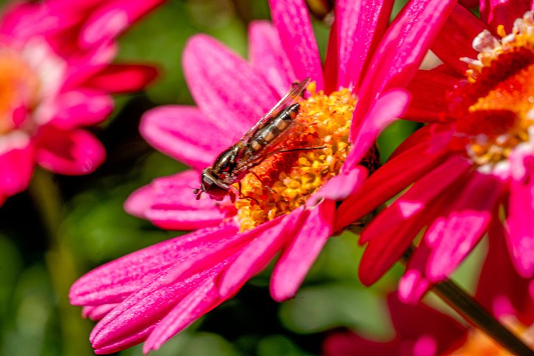 _DSC4007-Edit.jpg