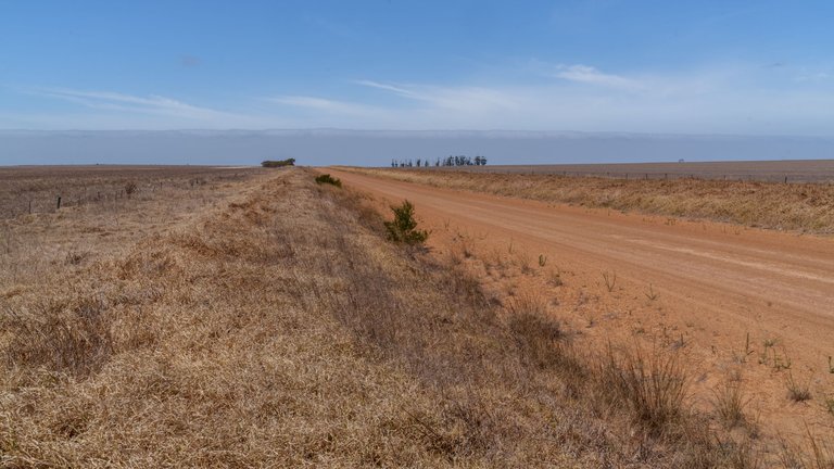 A1V04923.jpg