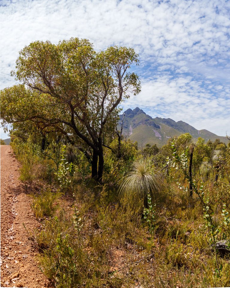 A1V05116-Pano.jpg