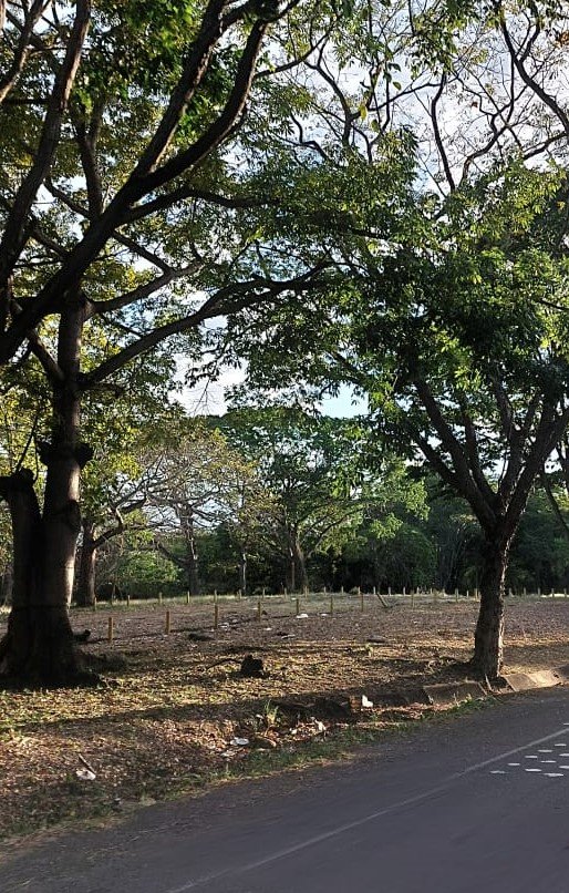 WhatsApp Image 2022-10-28 at 12.17.03 PM (3).jpeg