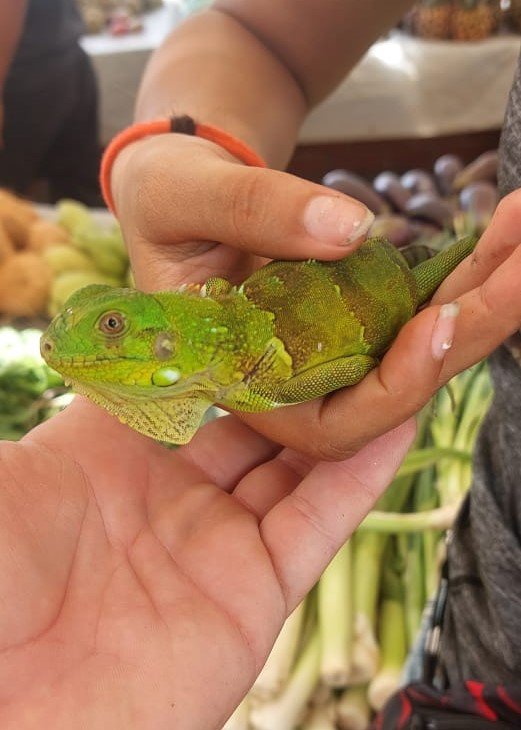 WhatsApp Image 2022-10-28 at 12.17.04 PM (2).jpeg