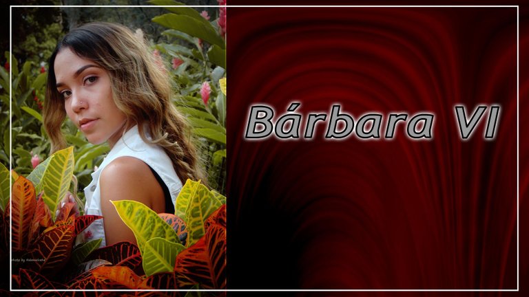 portada barbara.jpg