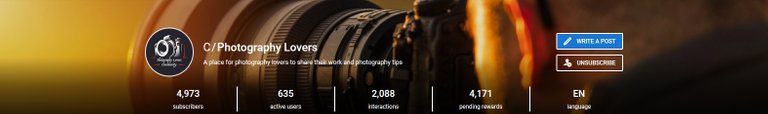 baner fotografia lovers.jpg