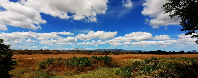 11 llano panoramica.jpg