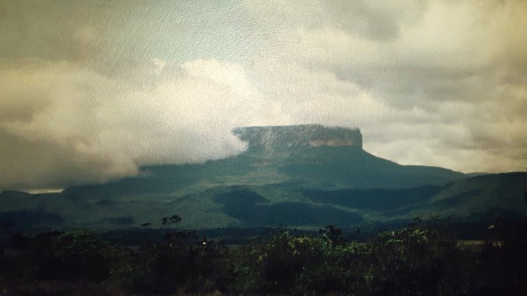 sabana 1.jpg