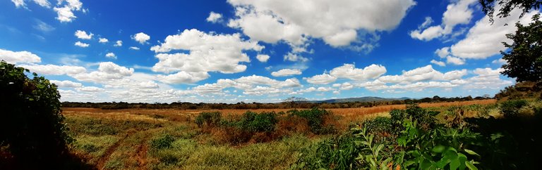 11 llano panoramica 2.jpg