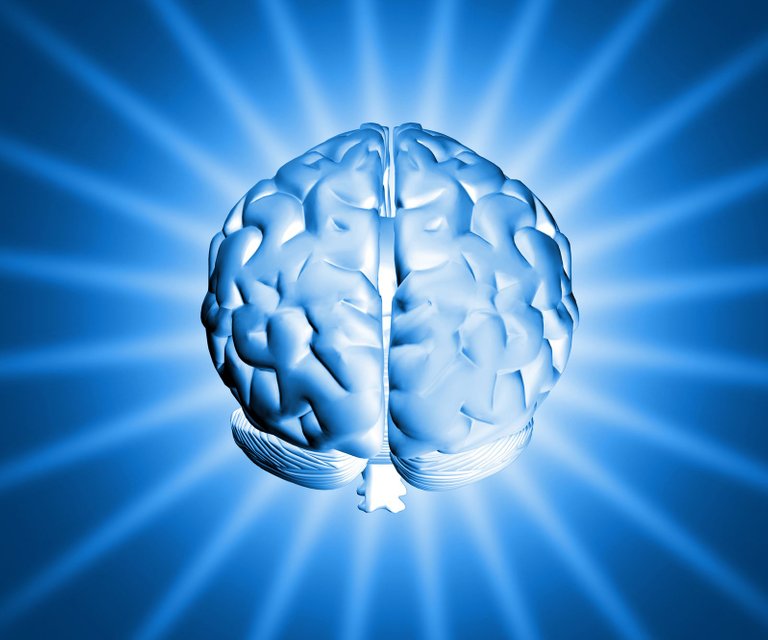 shiny-brain-1150907-1599x1332.jpg