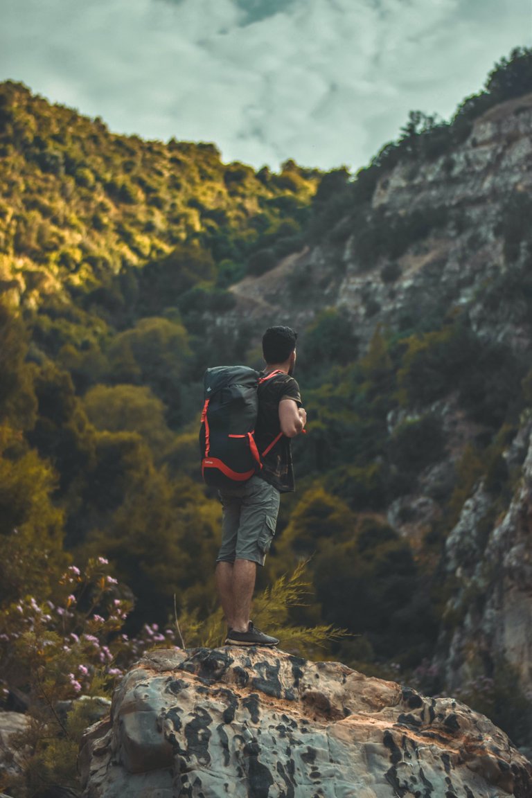 pexels-amine-m'siouri-2055556.jpg