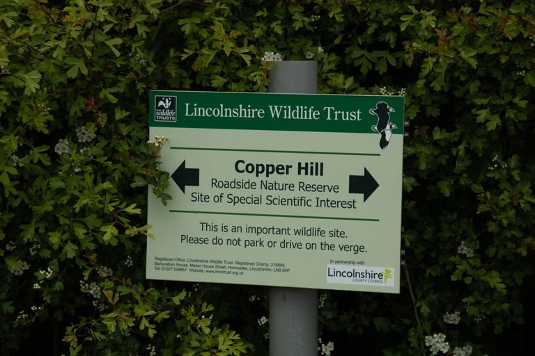Copper Hill may 2021-1.jpg