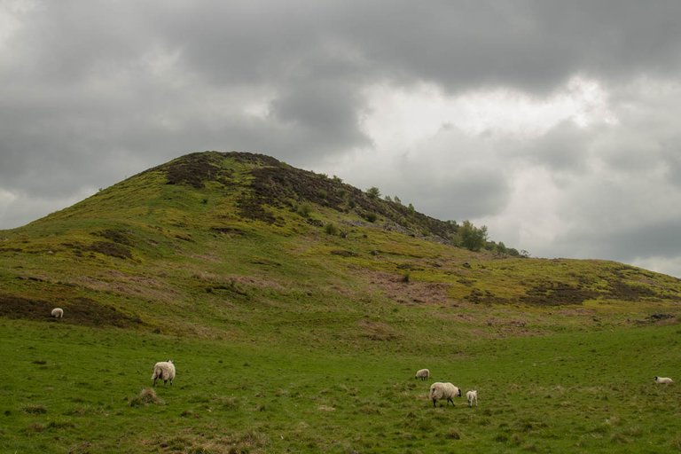 Hawnby Hill 2023-11.jpg