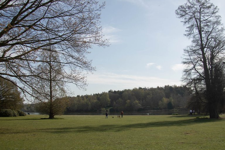 clumber edits april24-2.jpg