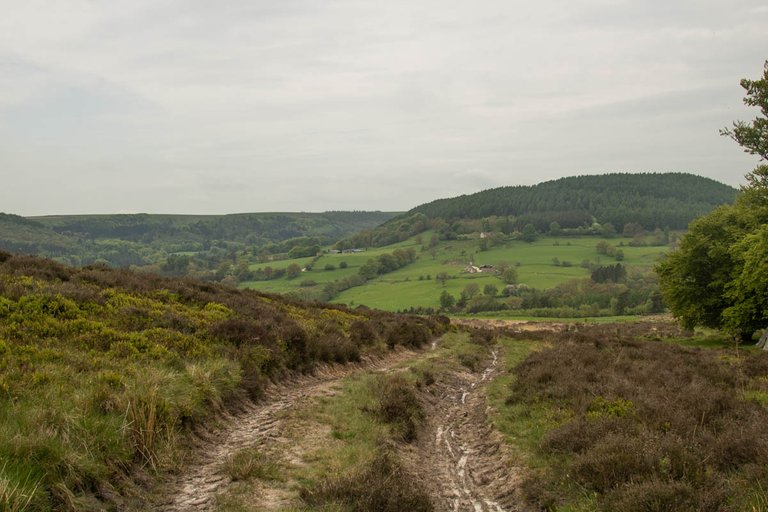 Hawnby Hill 2023-2.jpg