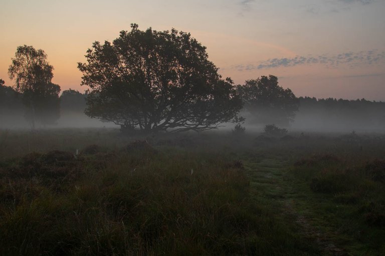 Linwood warren sunrise sept 20200141.jpg