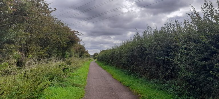 20230819_113219.jpg