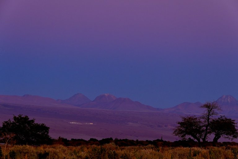 ALMA blue hour 2.jpg