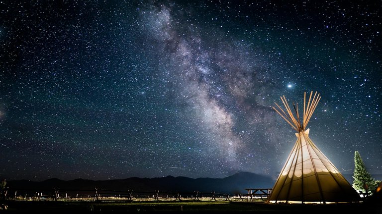 Teepee under cosmos.jpeg