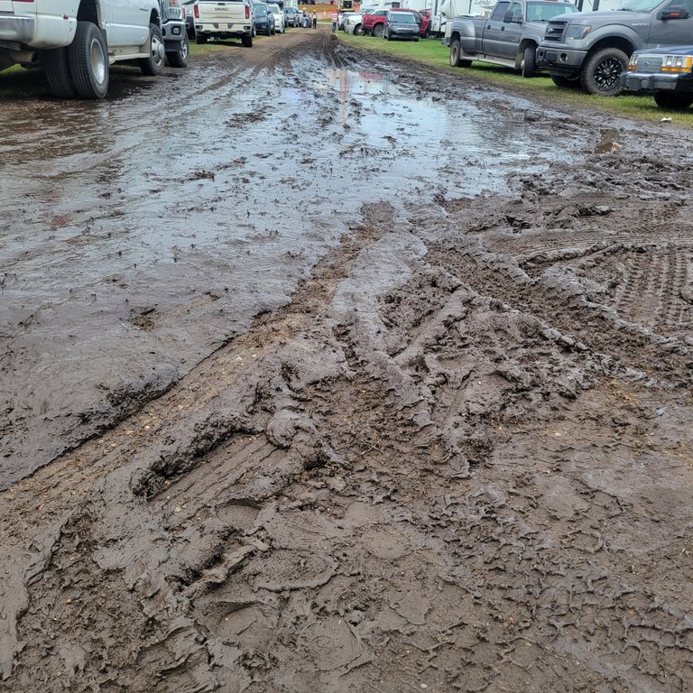 Muddy view