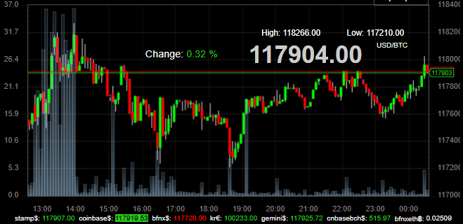 Bitcoin Price 120725