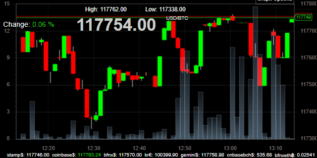 Bitcoin price 110725 