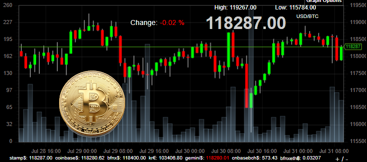 Bitcoin price 310725