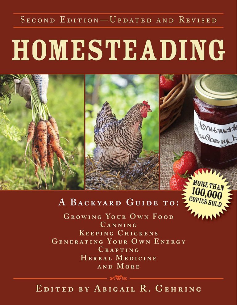 homesteading-9781629143668_hr.jpg